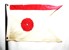 Northampton Sailing Club Burgee