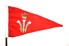 Royal Norfolk & Suffolk Yacht Club Burgee