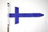 Tamar Yacht Club Burgee